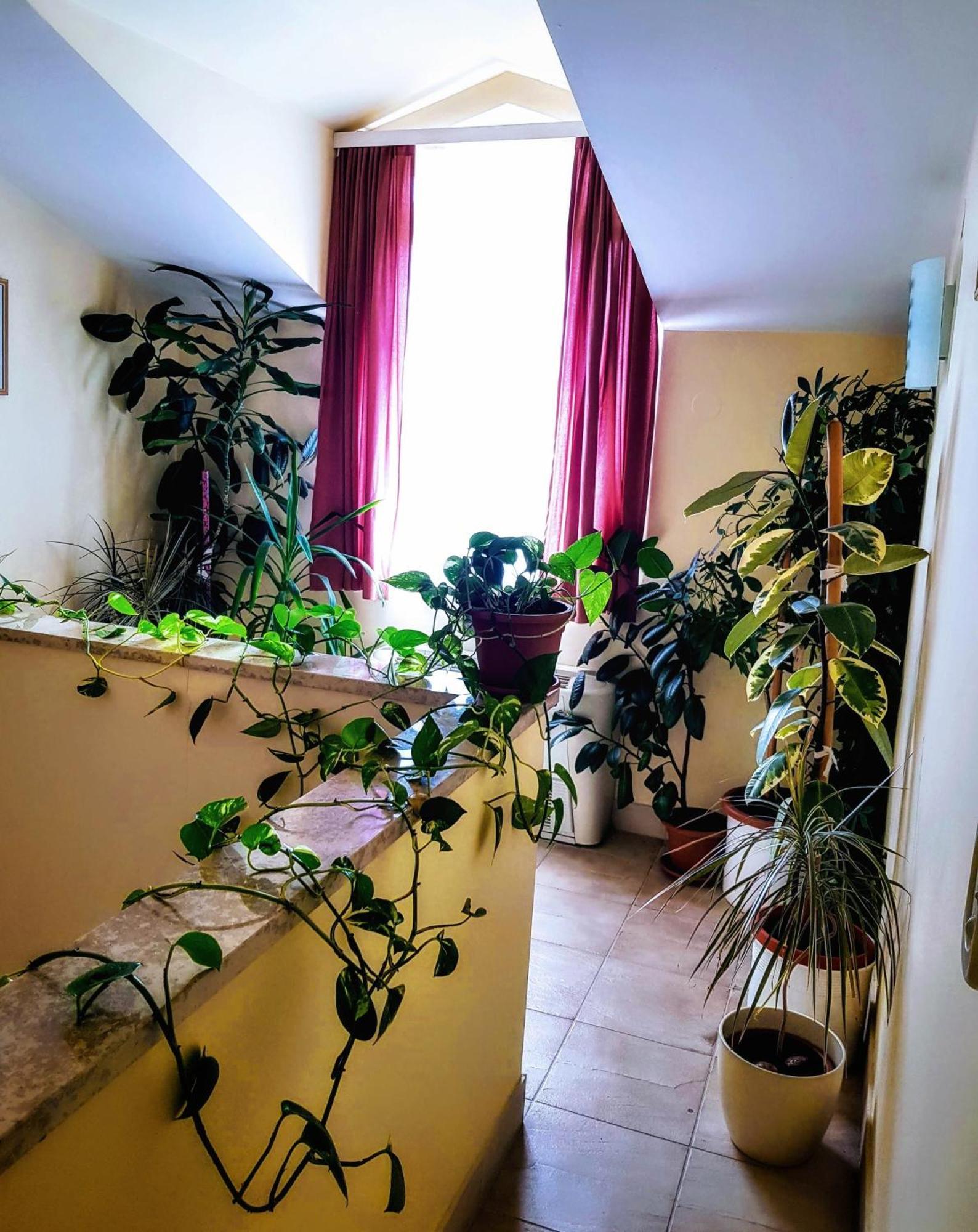 Villa Palcic II Novalja Extérieur photo