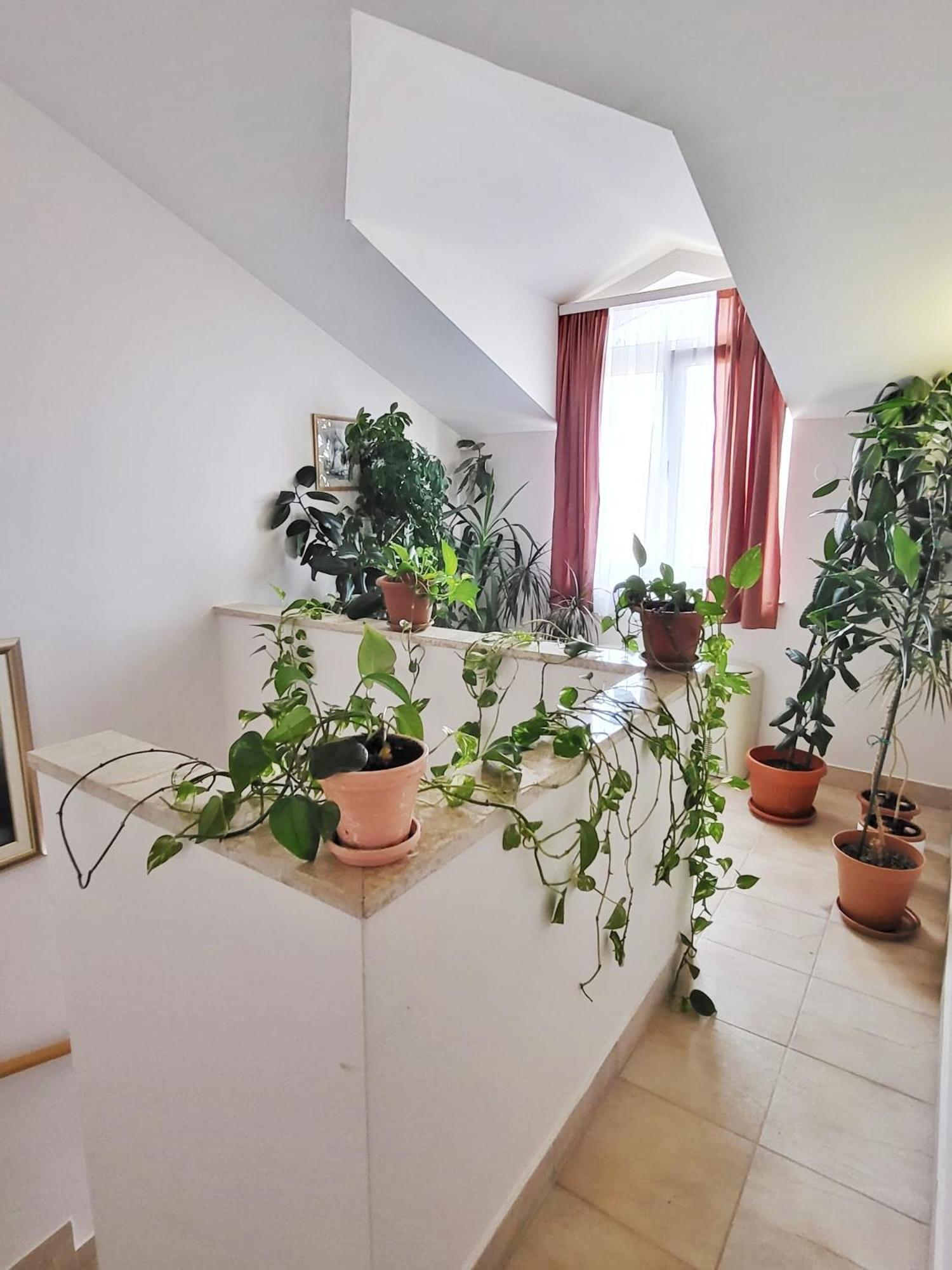 Villa Palcic II Novalja Extérieur photo